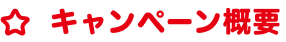 キャンペーン概要