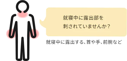 就寝中に露出部を刺されていませんか？ 就寝中に露出する、首や手、前腕など