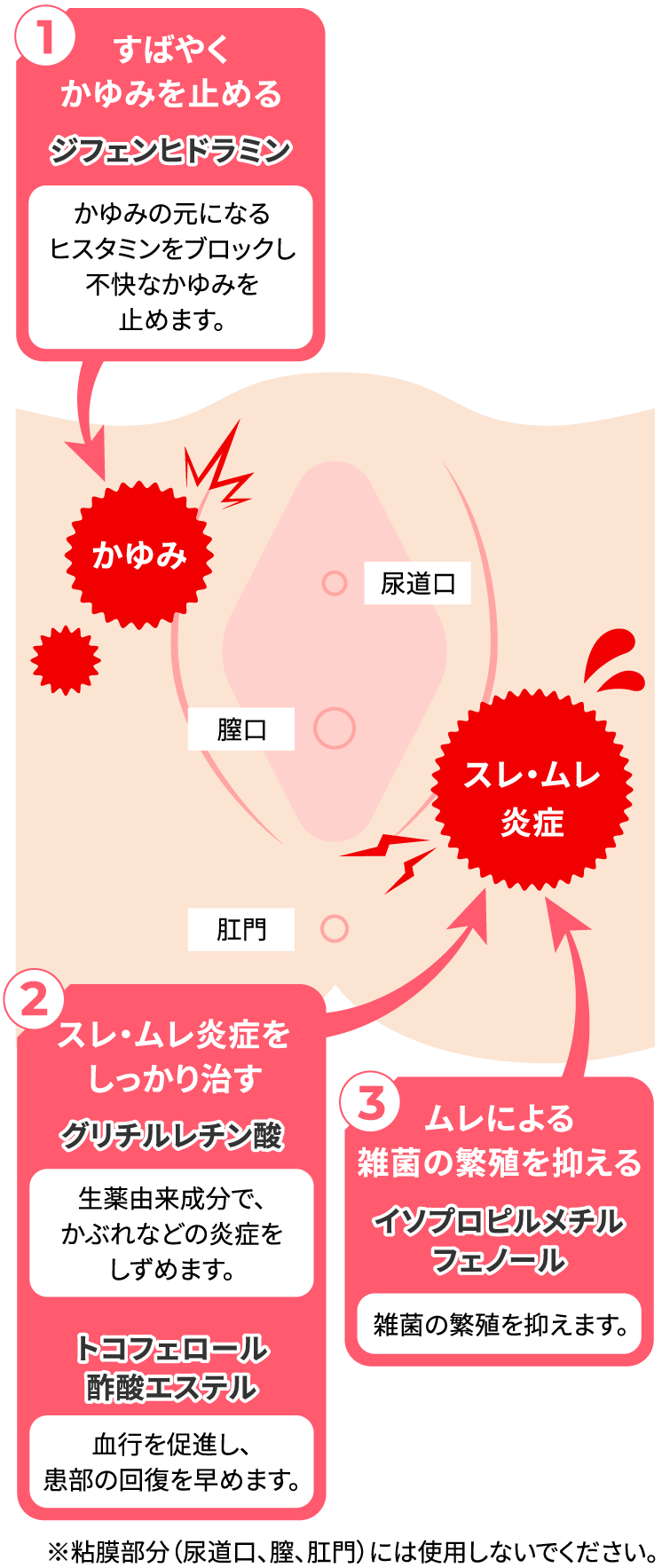 女性器膣内写真閲覧 