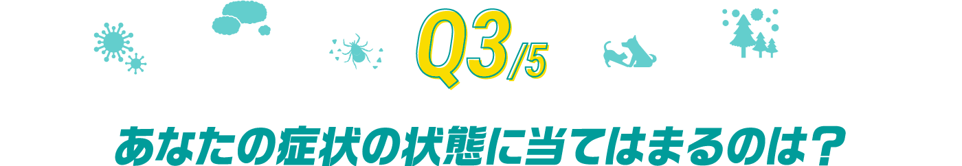 Q3/5 あなたの症状の状態に当てはまるのは？