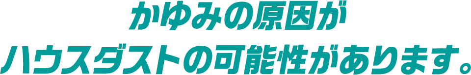 かゆみの原因がハウスダストの可能性があります。