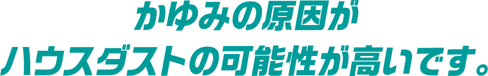 かゆみの原因がハウスダストの可能性が高いです。