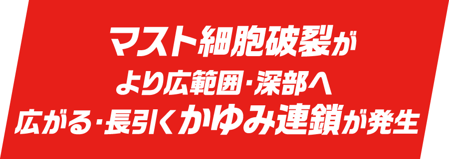 マスト細胞破裂がより広範囲・深部へ広がる・長引くかゆみ連鎖が発生